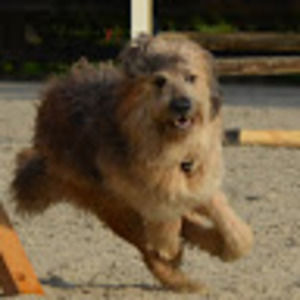 Meet your Posher, Patricia